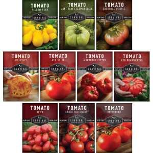 10 Tomato Seed Collection - A Rainbow of Heirloom Tomato Varieties
