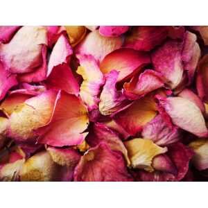 Pink Rose Petals, Whole
