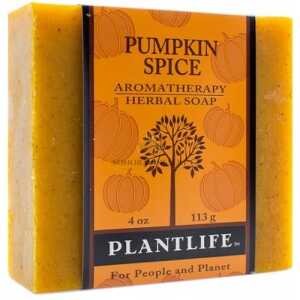 Pumpkin Spice Bar Soap