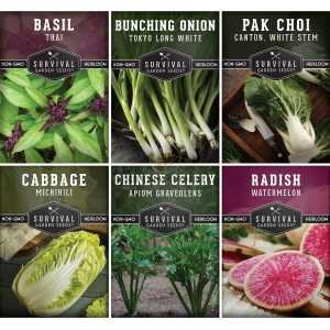 Asian Vegetable Seed Collection - 6 Vegetables for Asian Cuisine