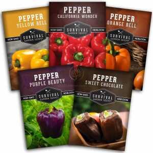 Bell Pepper Seed Collection - 5 Sweet Bell Peppers