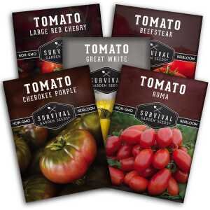 5 Tomato Collection -  Cherokee Purple, Roma, Large Red Cherry, Great White, & Beefsteak