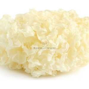 Tremella Extract – 30% Polysaccharides