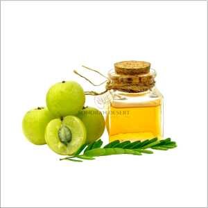 Amla Oil