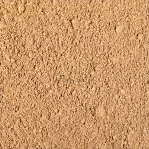 Amla Powder