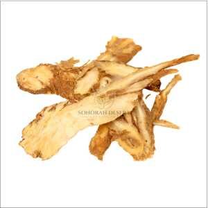 Angelica Root