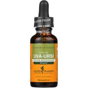 Herb Pharm - Uva Ursi - 1 Each-1 Fz