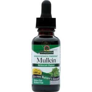 Nature's Answer - Mullein Leaf Alcohol Free - 1 Fl Oz