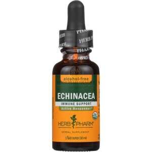 Herb Pharm - Echinacea (af)glycerite - 1 Each-1 Fz