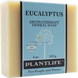 Eucalyptus Bar Soap
