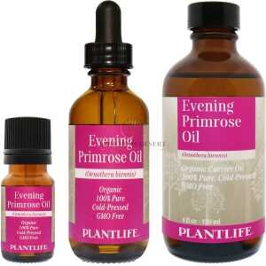 Evening Primrose
