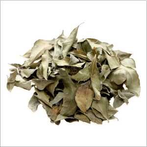 Dried Curry Leaf