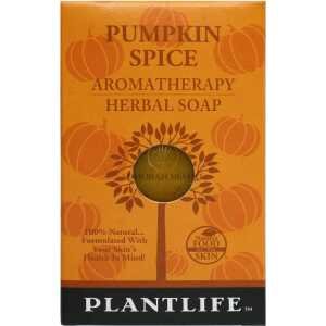Pumpkin Spice Travel Size Bar Soap